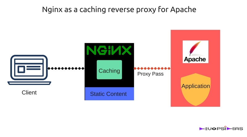Configure nginx reverse proxy wordpress cache for apache · sudo nano /etc/apache2/ports.conf · listen 8080. Wordpress Nginx Reverse Proxy Https - BWODS