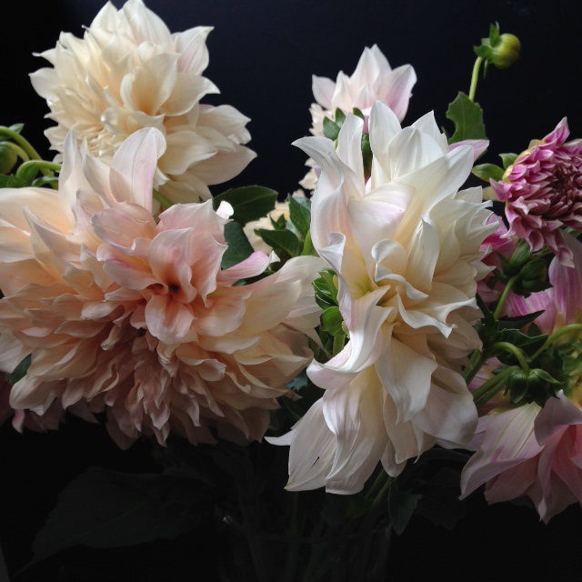 Fleurs_devorezmoi_01