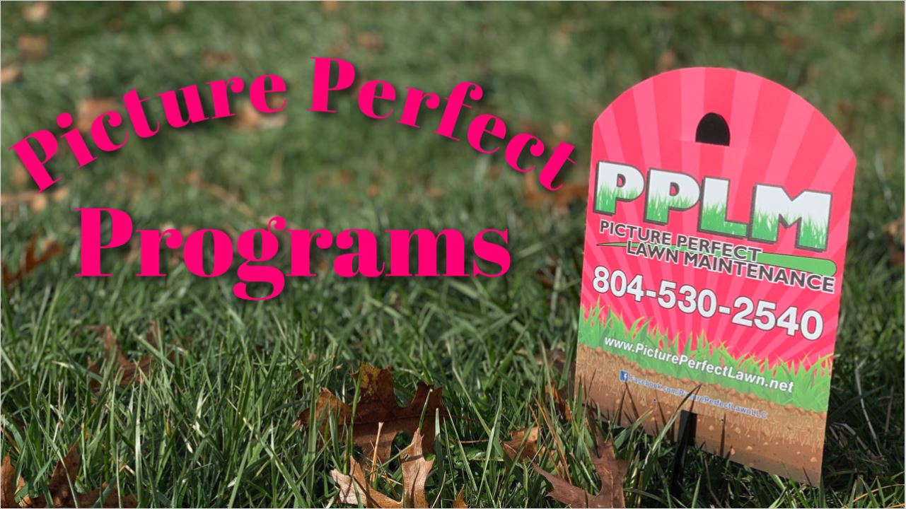Lawn Care In Moseley VA