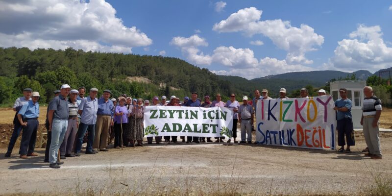 zeytinlikler