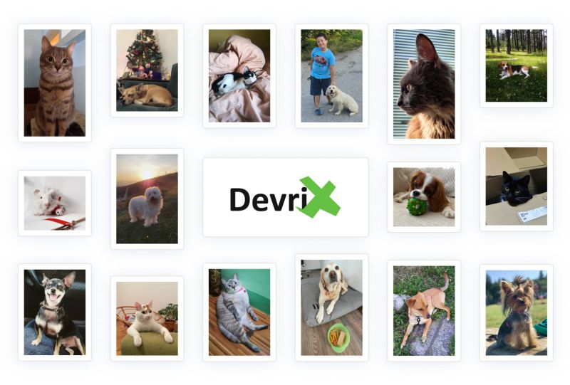 Devrix 2020 In Review Devrix - Premium Mountain Pattern Gallery - Ultra HD