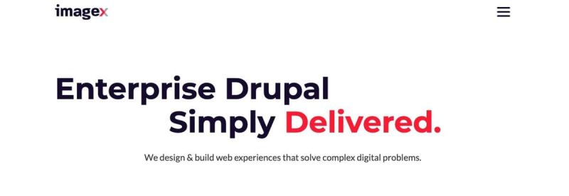 Drupal Web Development Services Top 7 Agencies - Professional Vintage Photo - Desktop