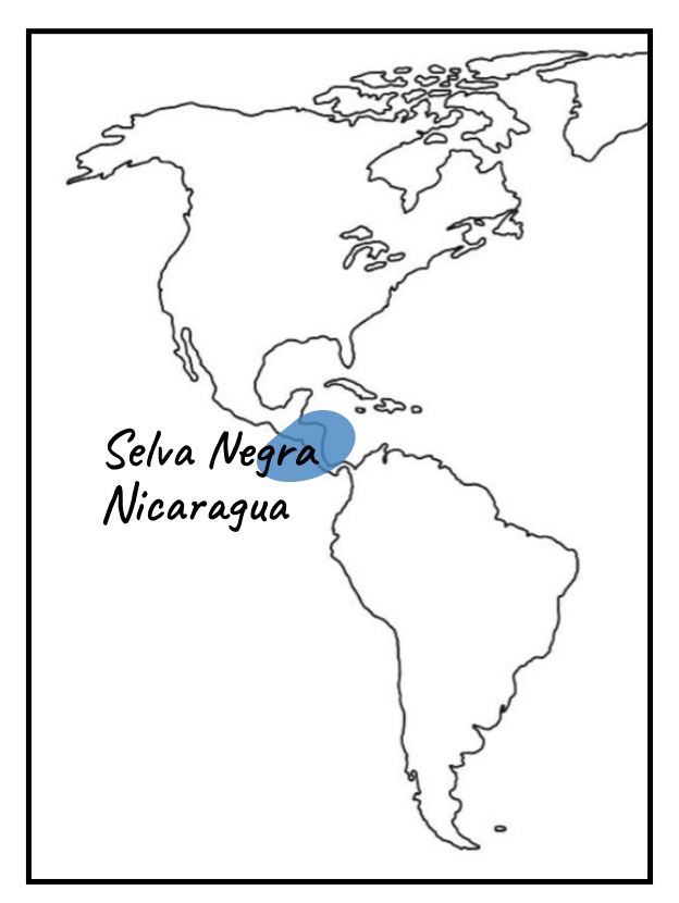 Selva Negra map