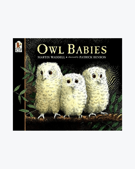 Owl Babies