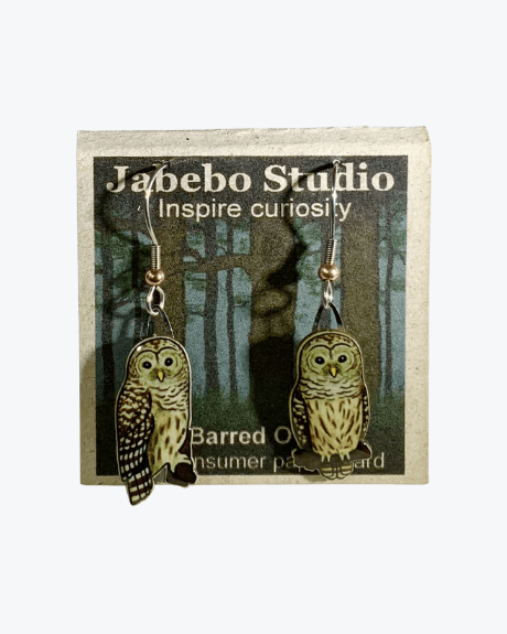 Barred Owl Earrings
