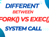 Fork Vs Exec System Call 10 Main Key Differences