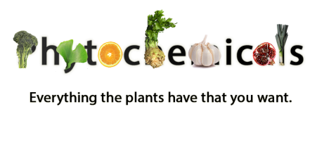 PHYTOCHEMICALS AND FUNCTIONS