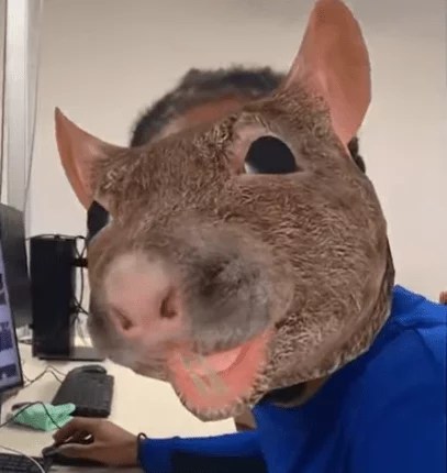 Le Rat