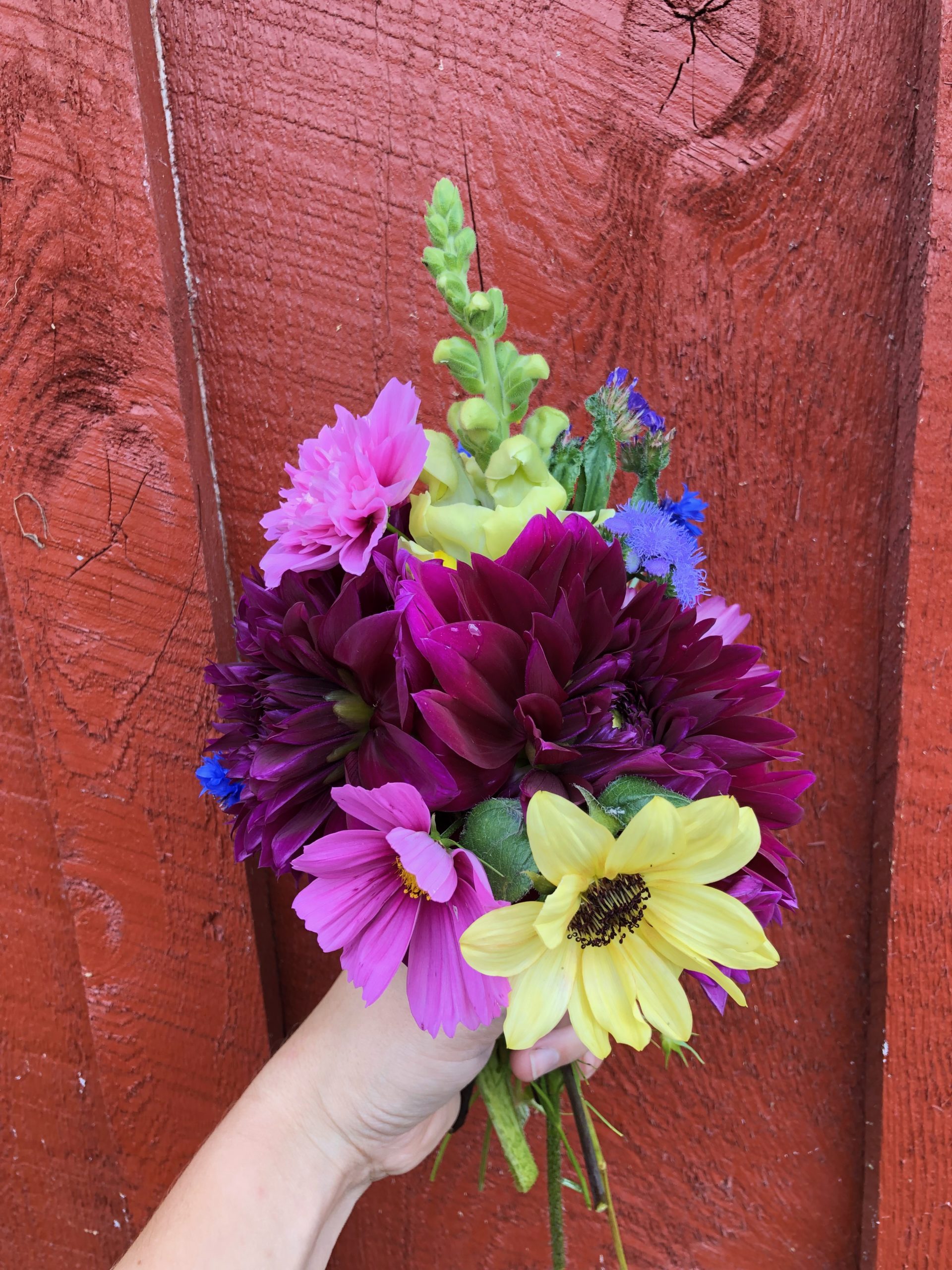 Our goal is to provide the best quality steaks, seafood, appetizers . Floral Arrangements | Dewing Farm