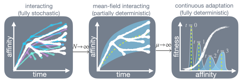 Research Dewitt Lab - Sunset Texture Collection - 4K Quality