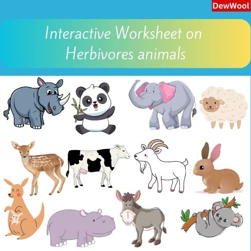 Herbivores Animals Multiple Choice Questions Quiz DewWool