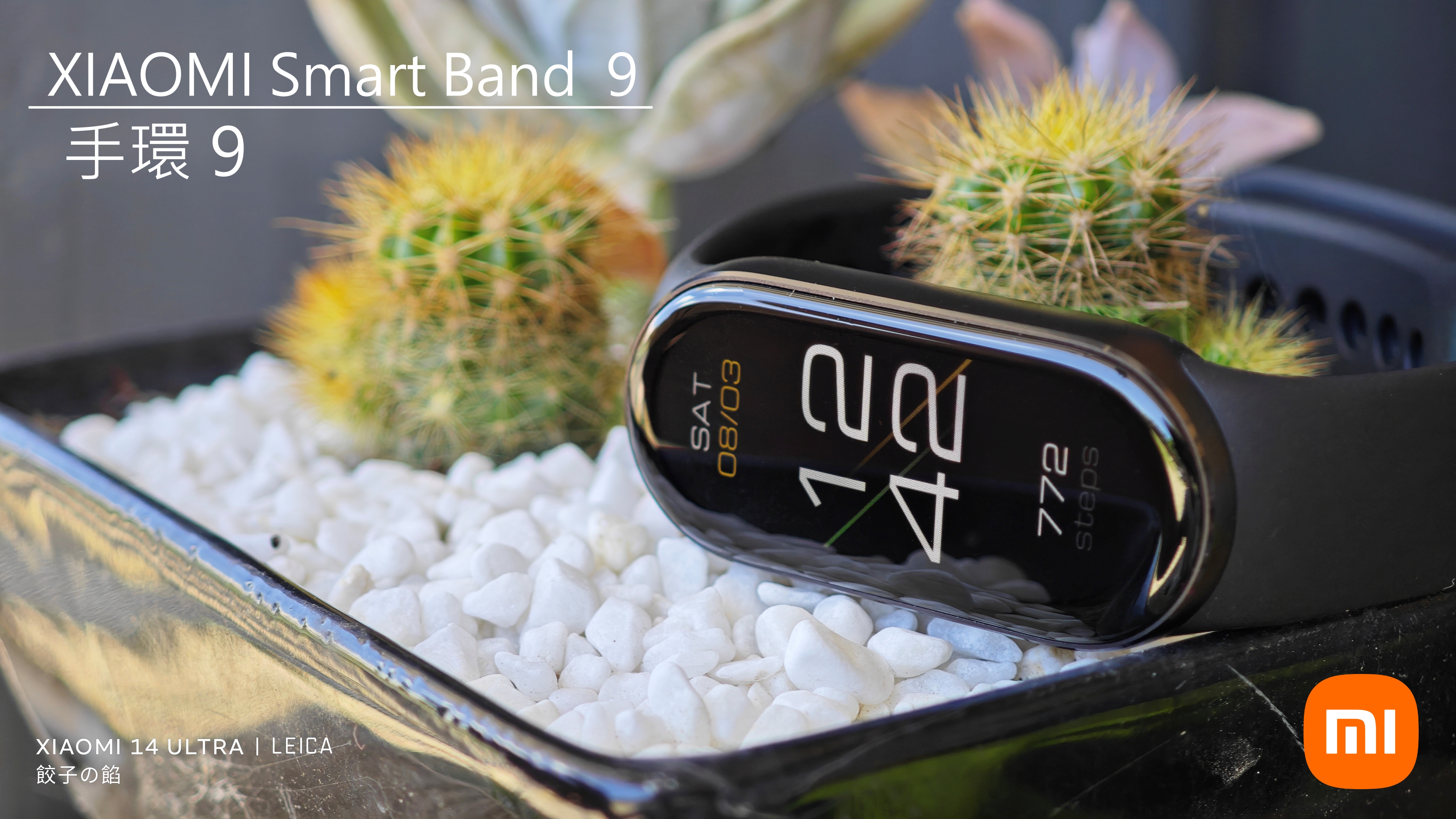 這張圖片的 alt 屬性值為空，它的檔案名稱為 01.jpg