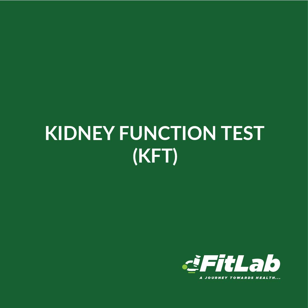 dFitLab Kidney Function Test KFT
