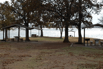 pet sitters in Flower Mound