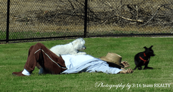 Ruff Range Dog Park in Frisco
