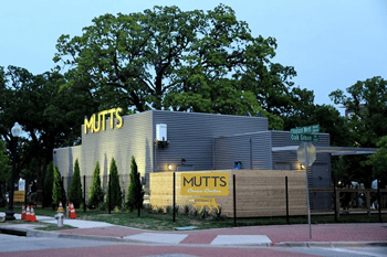 pet sitters in Highland Park