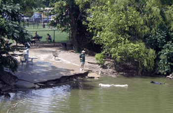 pet sitters in Lake Highlands
