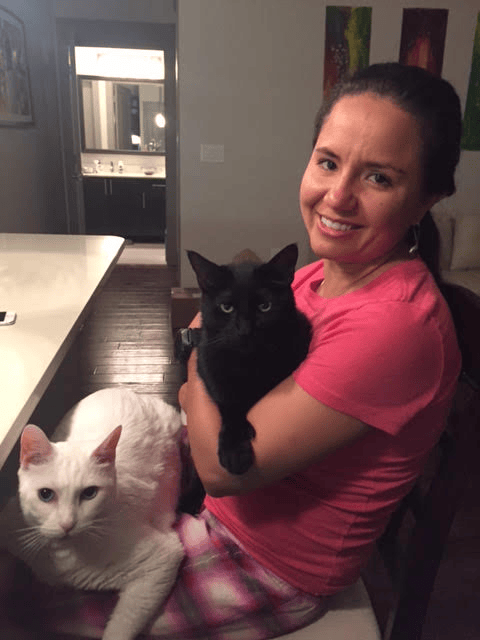 black and white cats