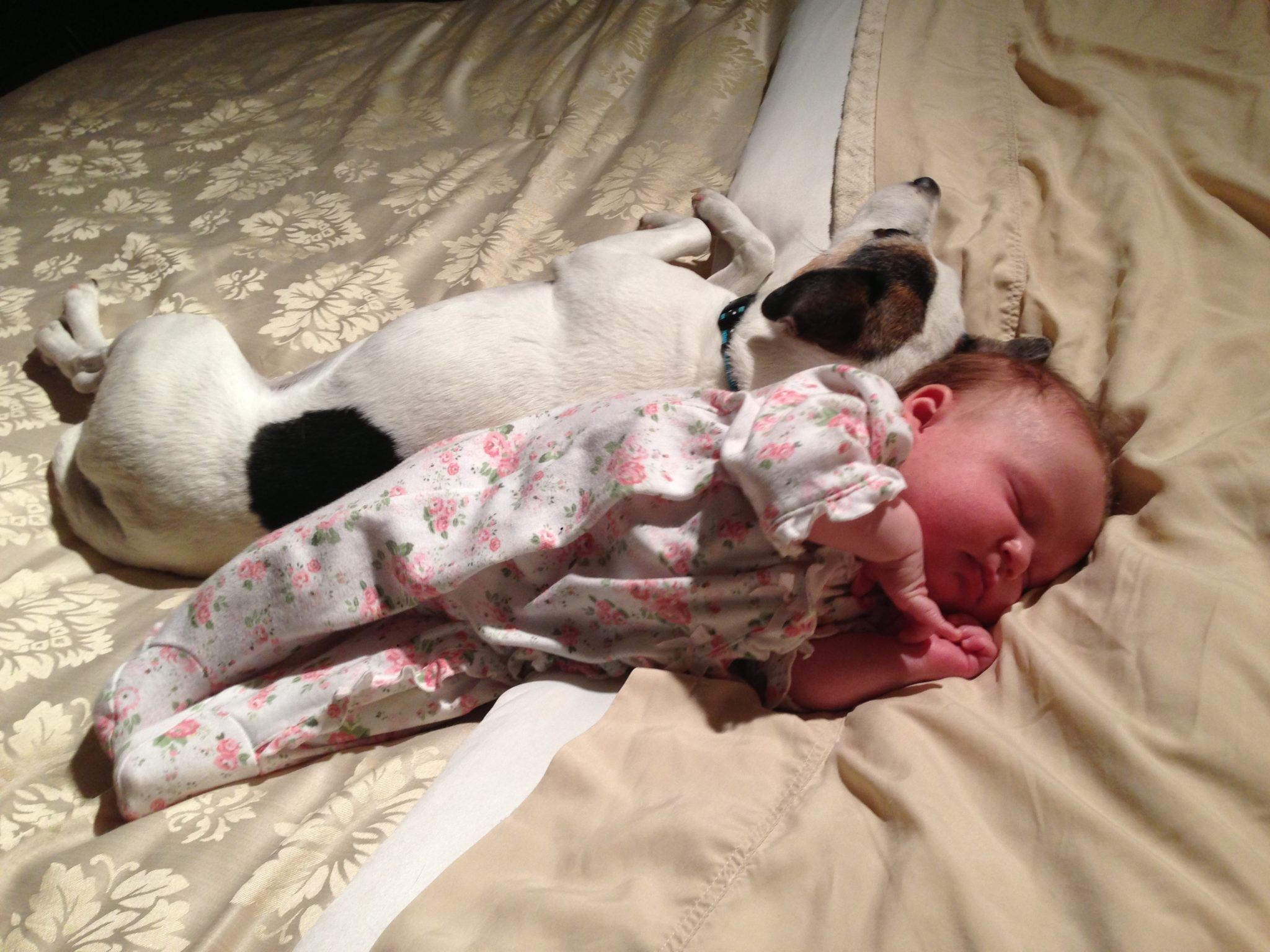 Jane and Alex the dog