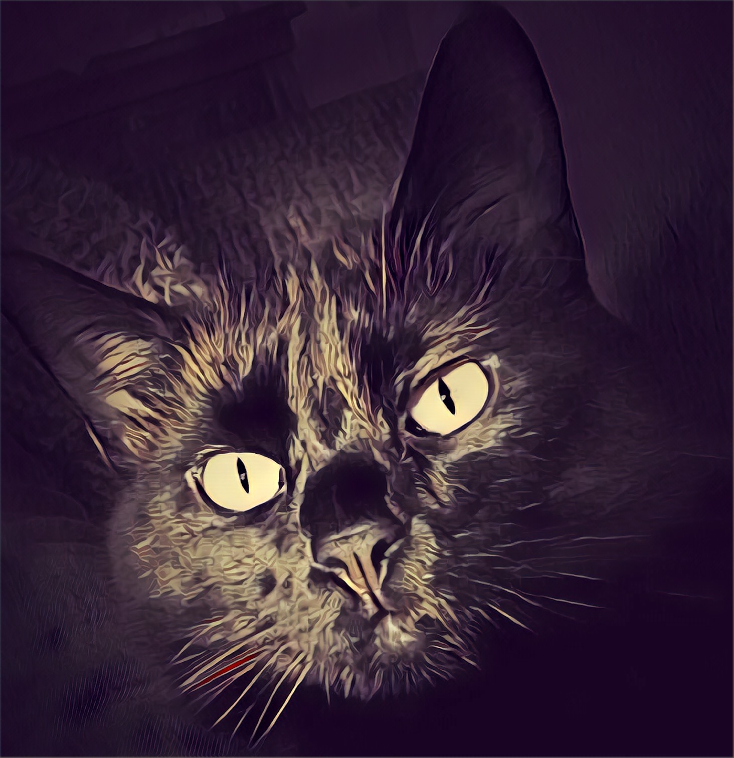 black cat eyes