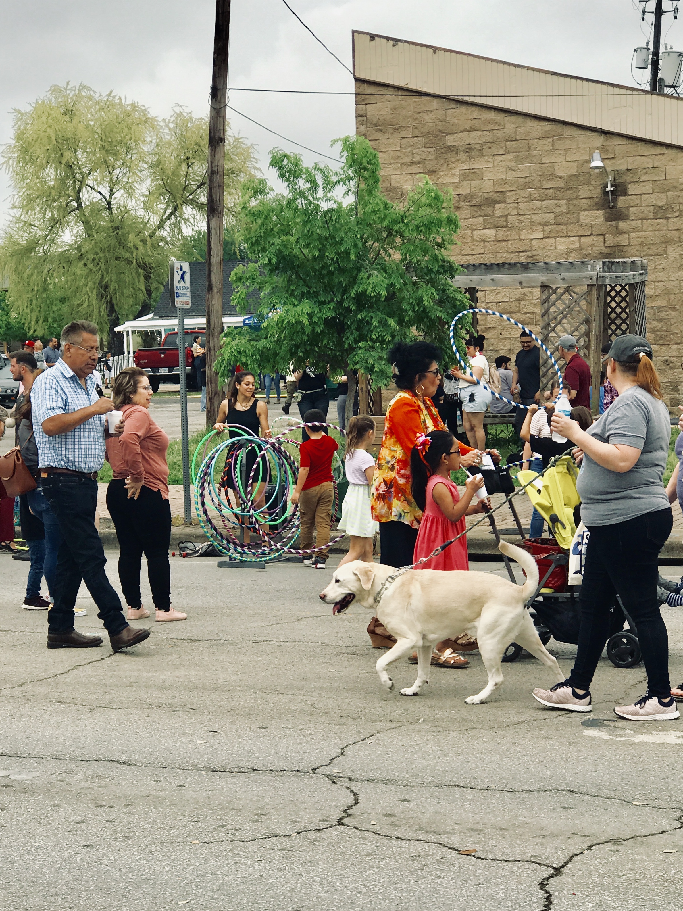 fort worth dog walkers
