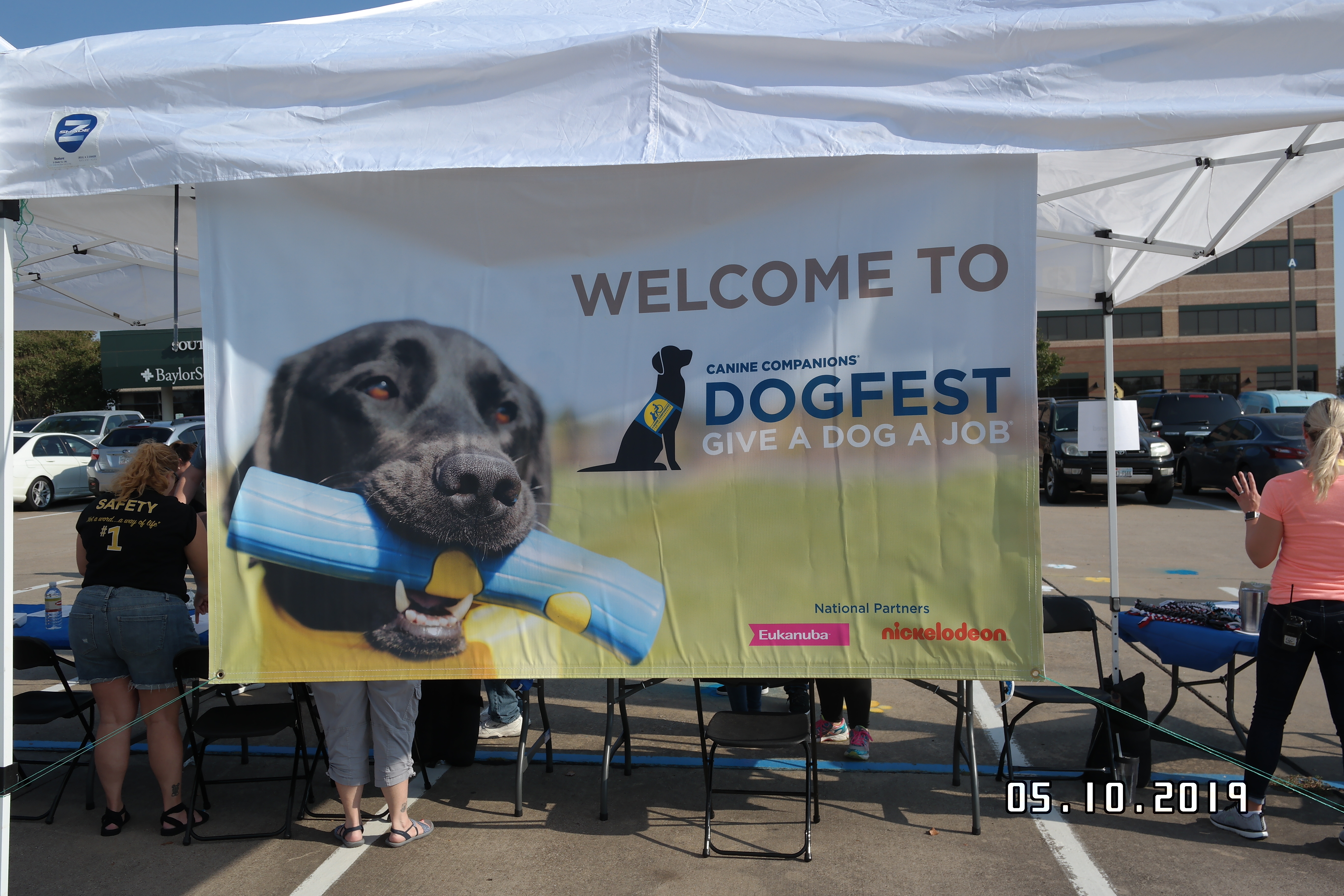 pets at dog fest