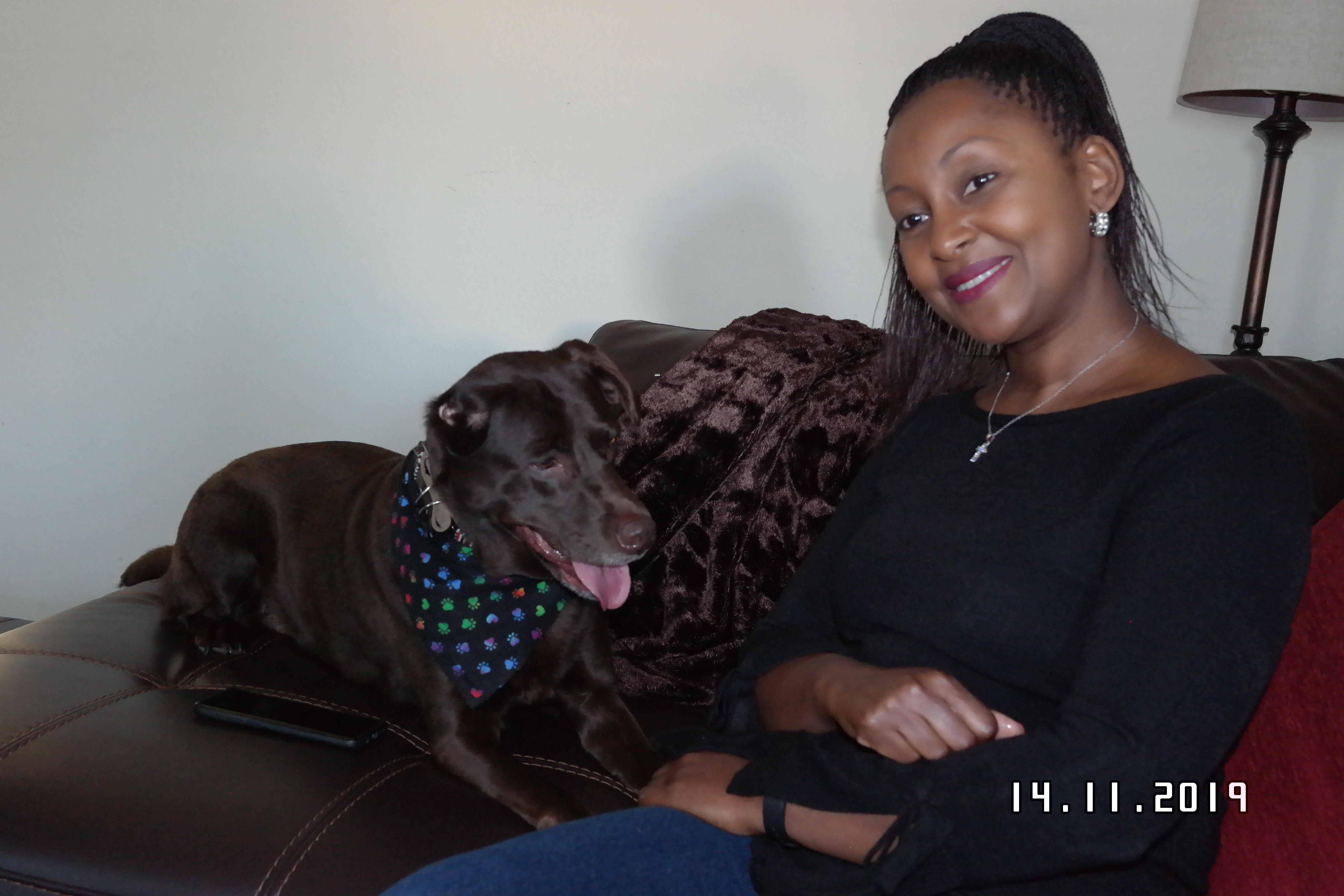 Sasha the chocolate lab with her owner