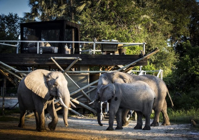 Ker & Downey Africa Safaris Luxury