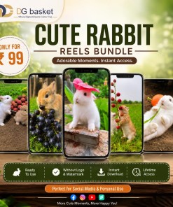 Cute Rabbit reels bundle