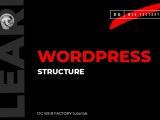 Wordpress Structure Dgwebfactory