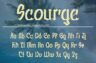 Gallery image item #15