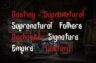 Gallery image item #14