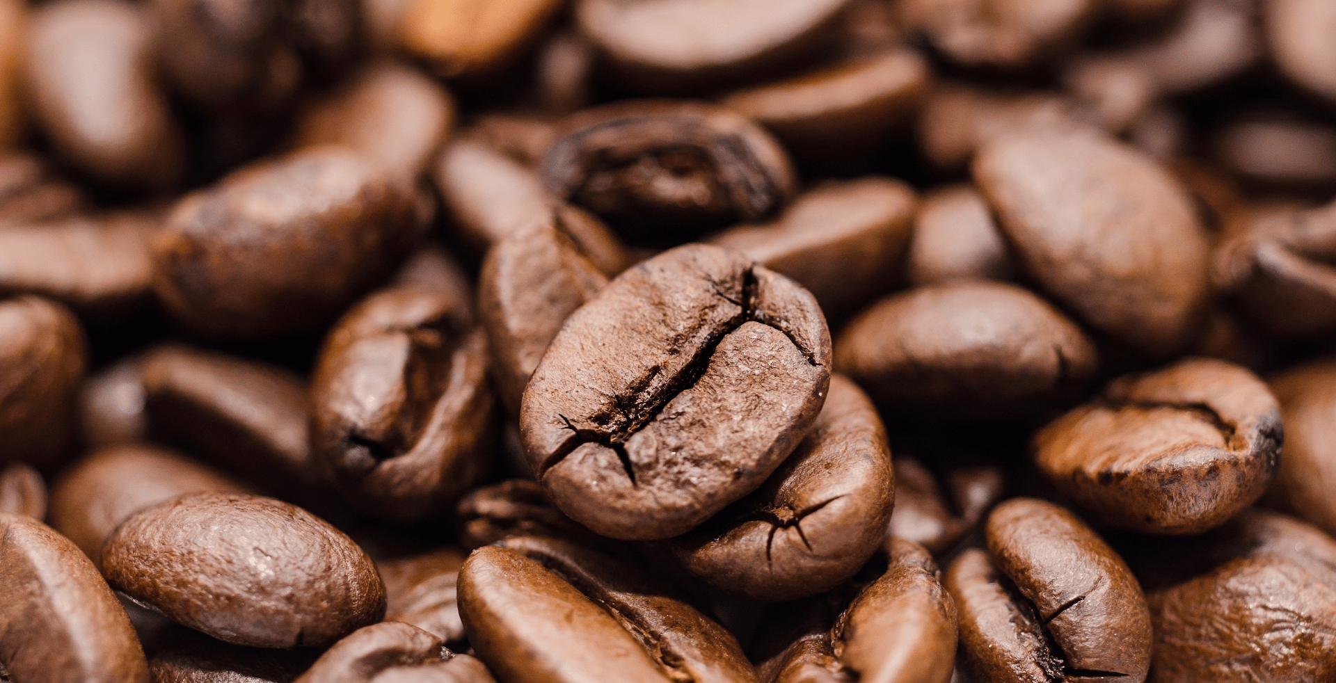 Dhee Roasted Coffee whole bean pack – freshly roasted by Canopy Kaapi and Dhe Coffee