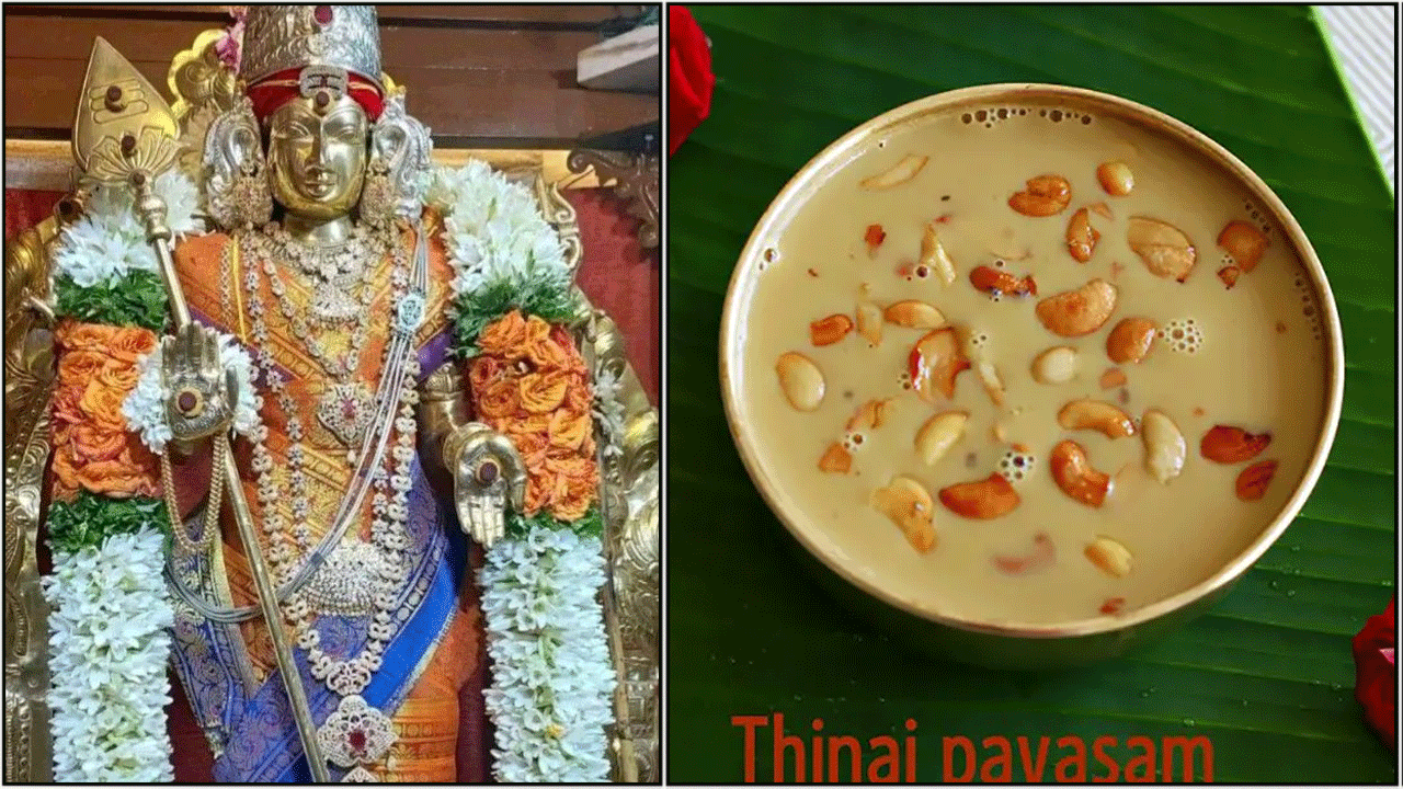 தினை பாயாசம் செய்முறை | thinai payasam preparation in tamil