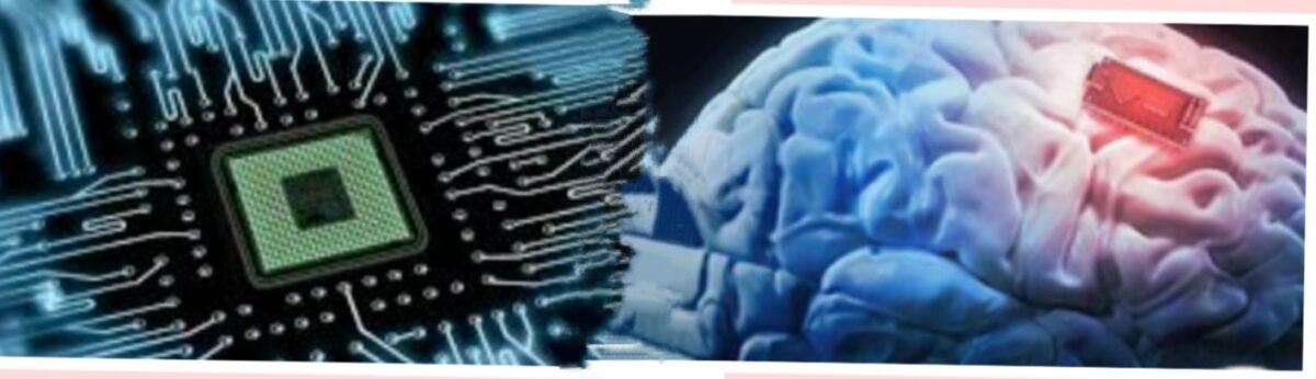 brain - 2026
