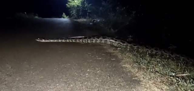 Python - 2026
