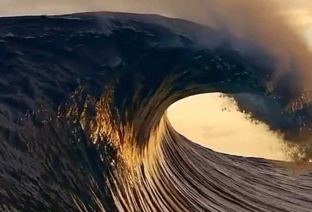 wave - 2026