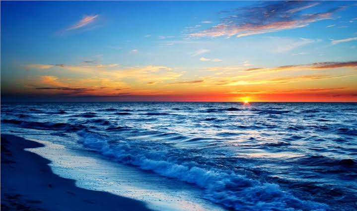images 37 - 2026