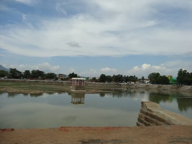 images 98 - 2026