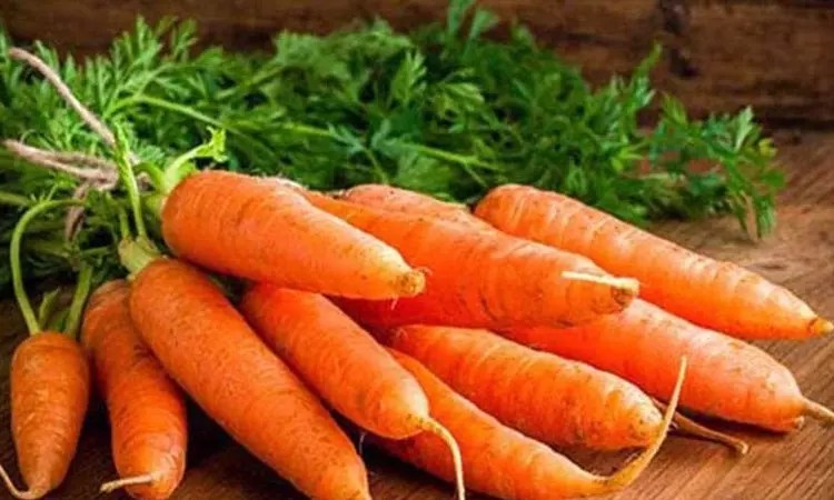 899741 carrot - 2026