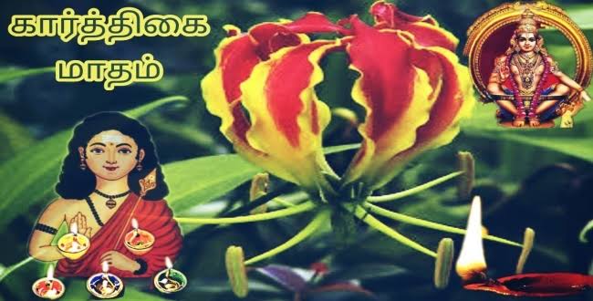 images 62 - 2026
