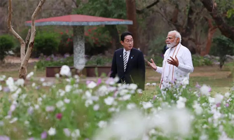 1197811 modiji33 - 2026