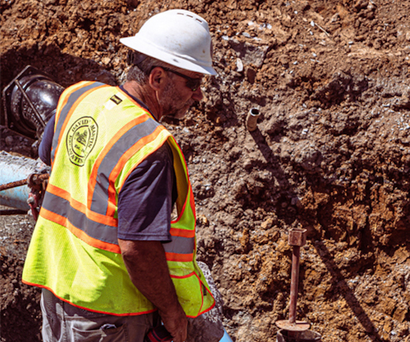 Cover Image of the Post