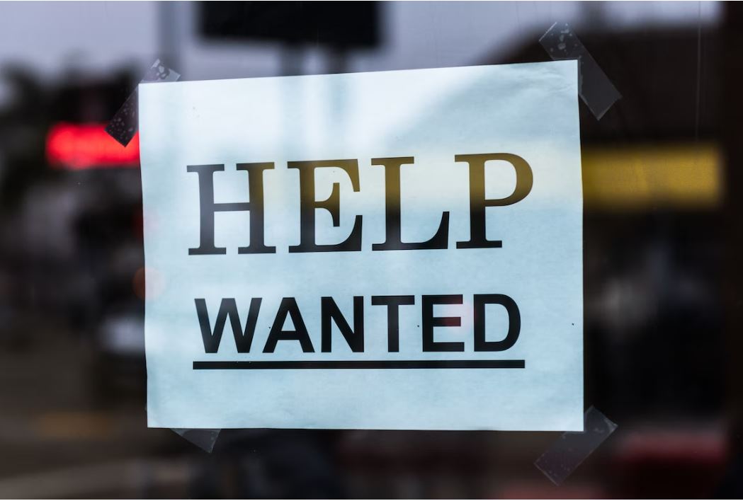 Saskatchewan's Booming Job Market: Youth Unemployment Falls, Employment Grows (2026)