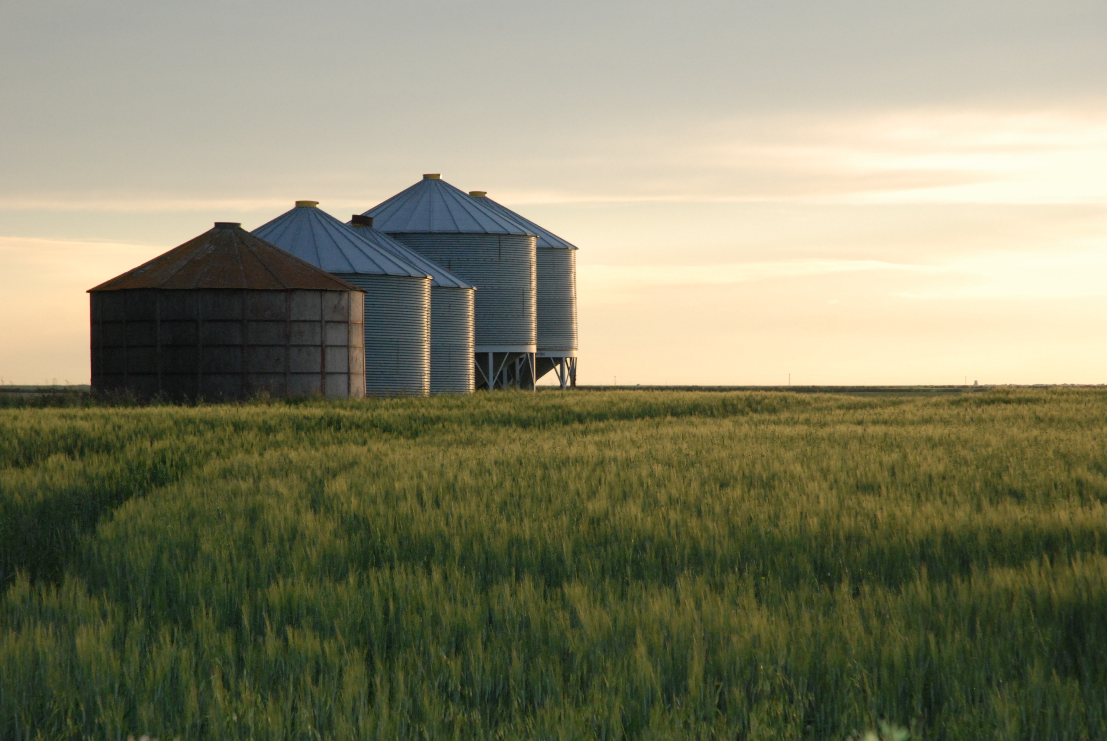 Farmer's Lung: What You Need to Know This Seeding Season | Symptoms, Prevention, and Risks (2026)