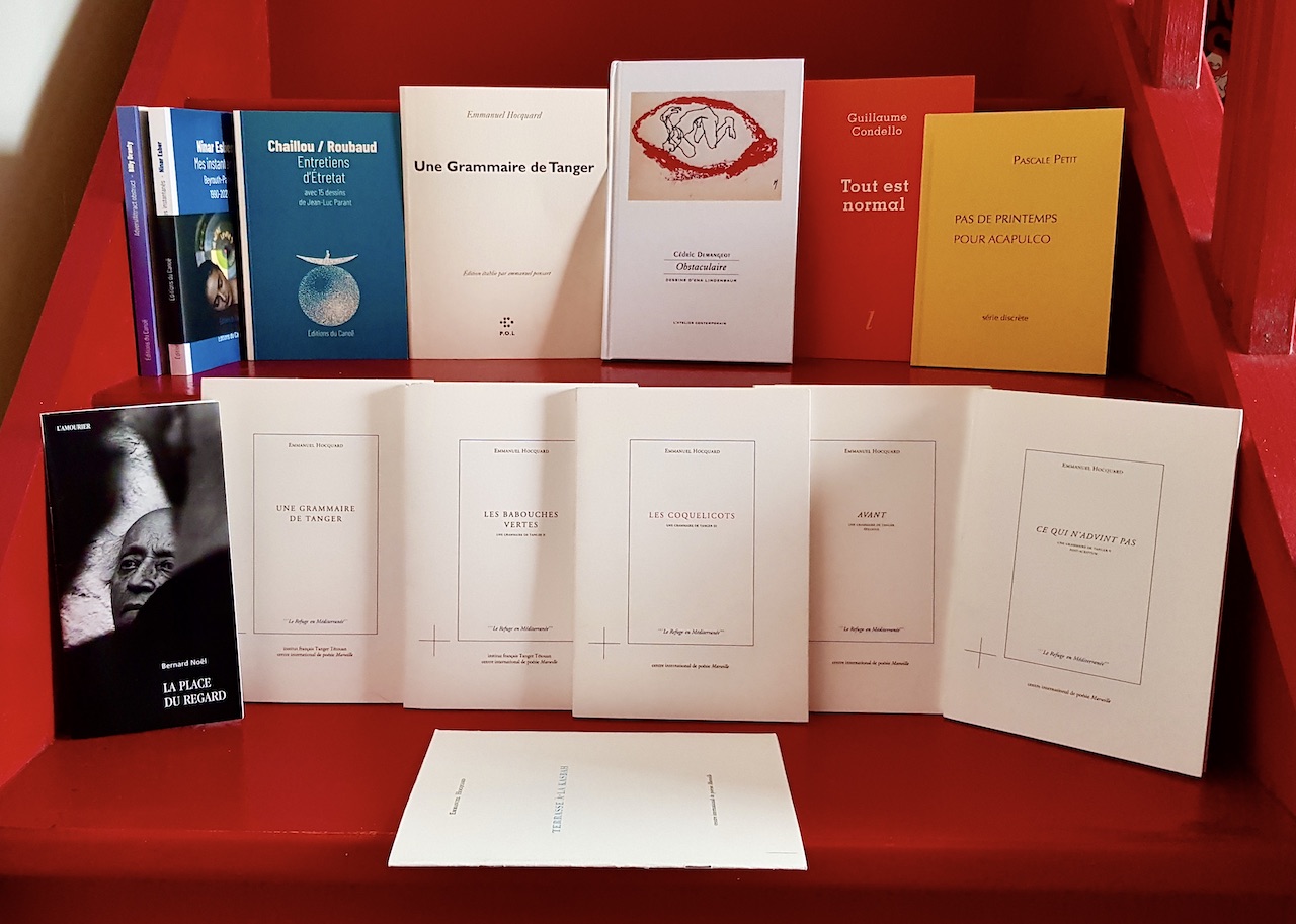 Livre Qui Finit Par Sur Cette Page Detachee Choses lues, choses vues (11): Emmanuel Hocquard, Cédric Demangeot,  Guillaume Condello, Pascale Petit, Ninar Esber, Billy Dranty,  Chaillou/Roubaud, Bernard Noël
