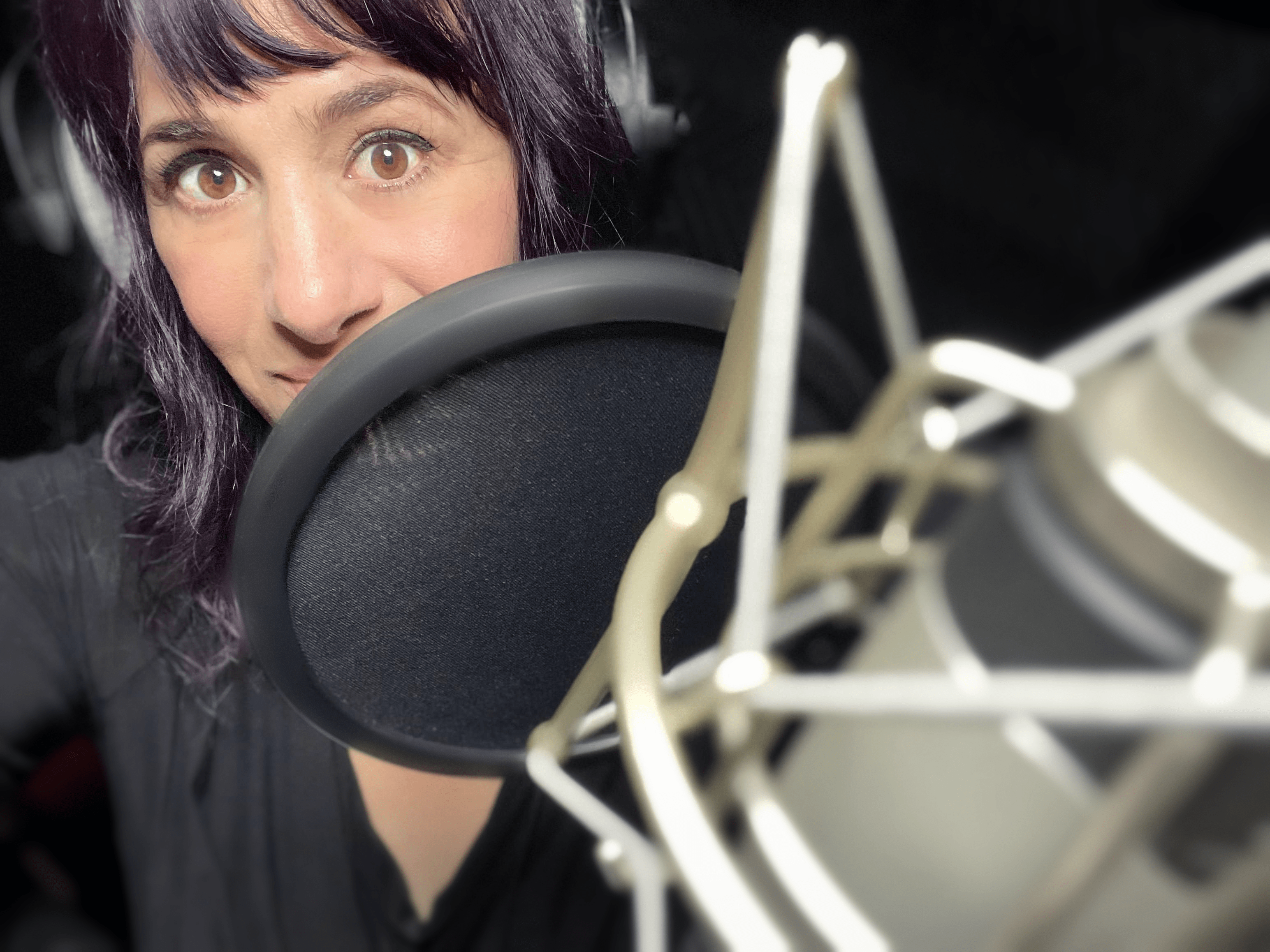 Dia Kline Professional RecordingStudio for VO work