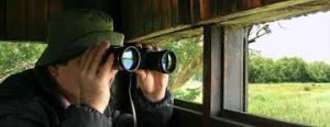 Bird watcher in a hide ScopeUout NZ