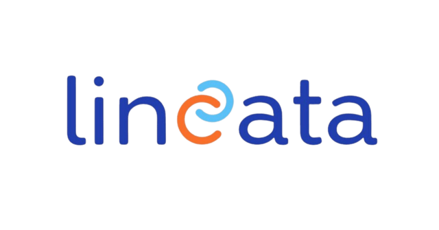 Lincata logo