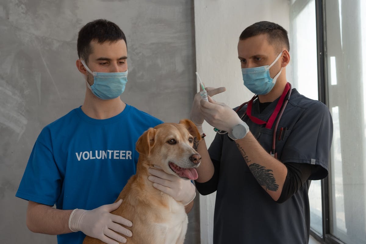 Why Quick Action Matters in Pet Emergencies in Reno